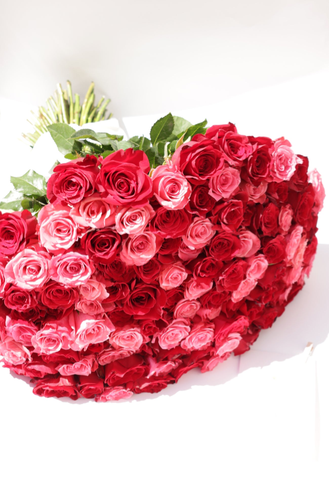 Captivate hearts with our breathtaking 101 roses bouquet. Perfectly arranged with lush, vibrant roses, this bouquet is an unforgettable gesture of love and elegance. Order now to make a grand impression!