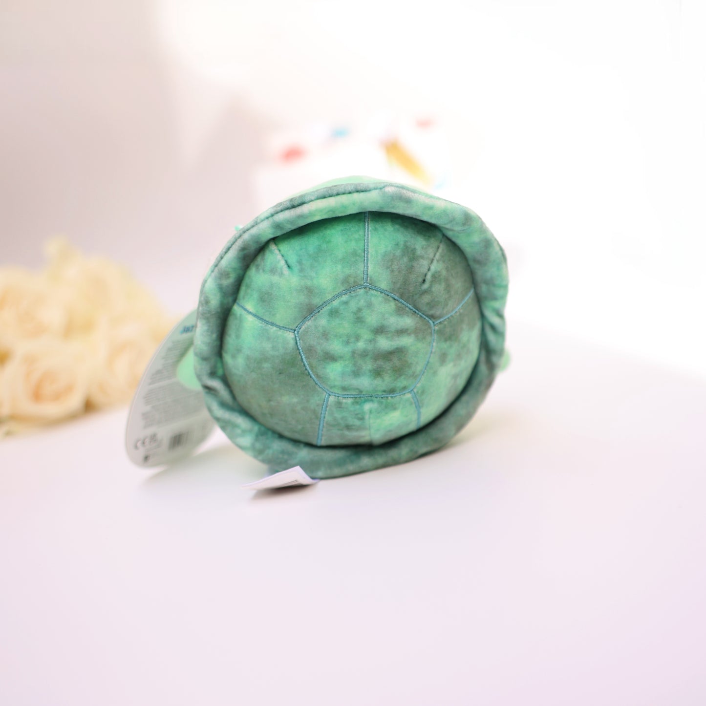 adorable turtle gift add-on
