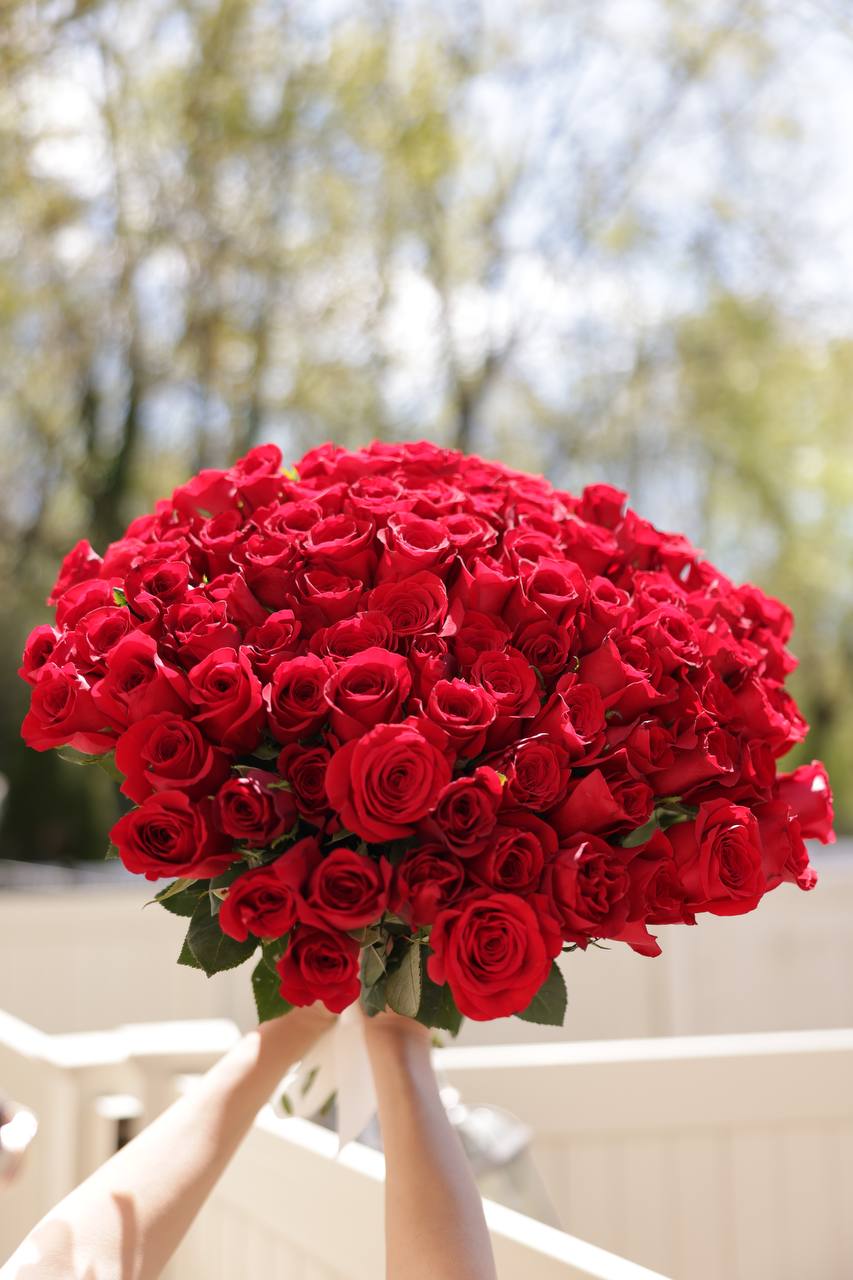 elegant 101 red roses arrangement
