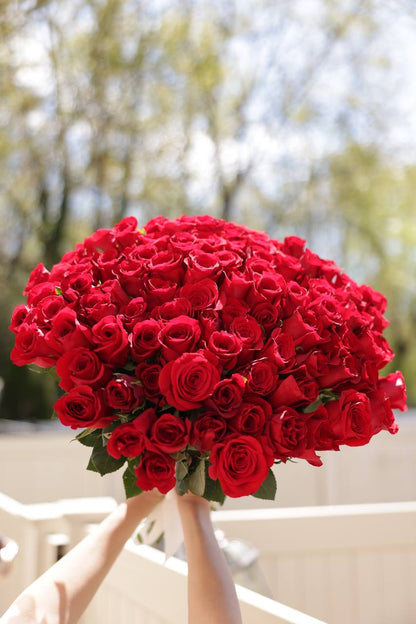 elegant 101 red roses arrangement
