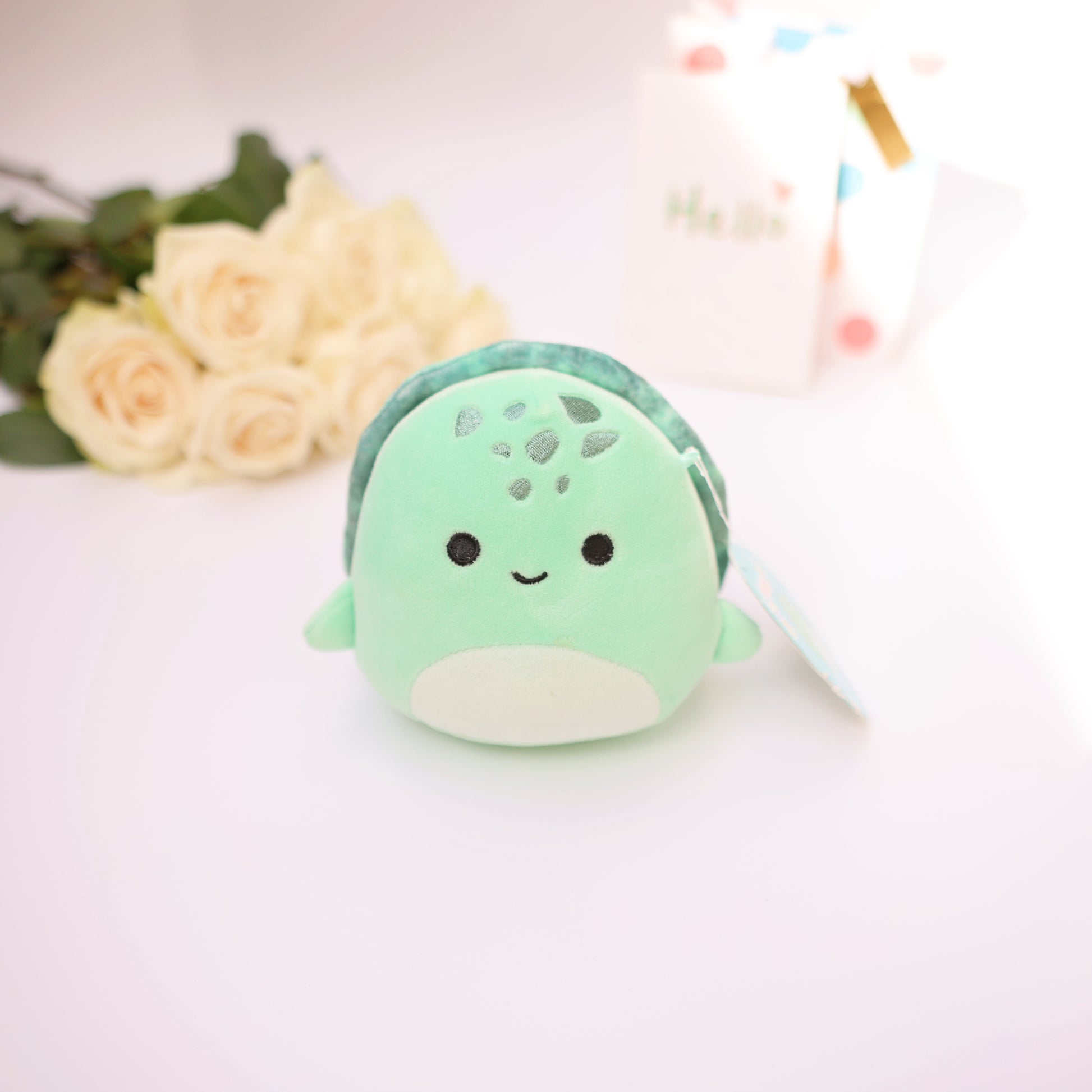 small plush turtle NYC
